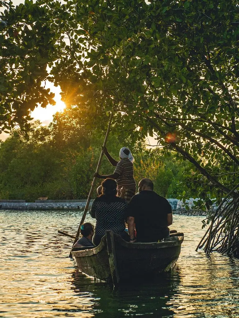 backwater, kerala, sunset, row boat, asia, garden, india, nature, island, kerala tourism, lake, landscape, munroe island